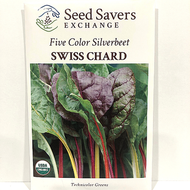 Five Color Silverbeet Swiss Chard, Heirloom, Organic